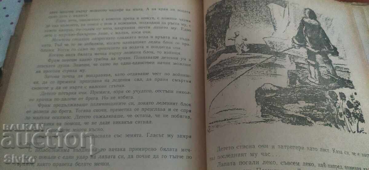 Παράδοση Φραμ, η πολική αρκούδα, πολλές εικονογραφήσεις