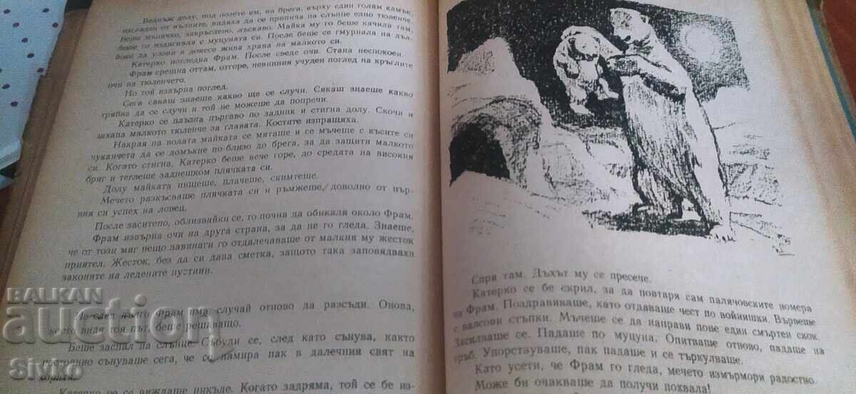 Φραμ, η πολική αρκούδα, πολλές εικονογραφήσεις - 5