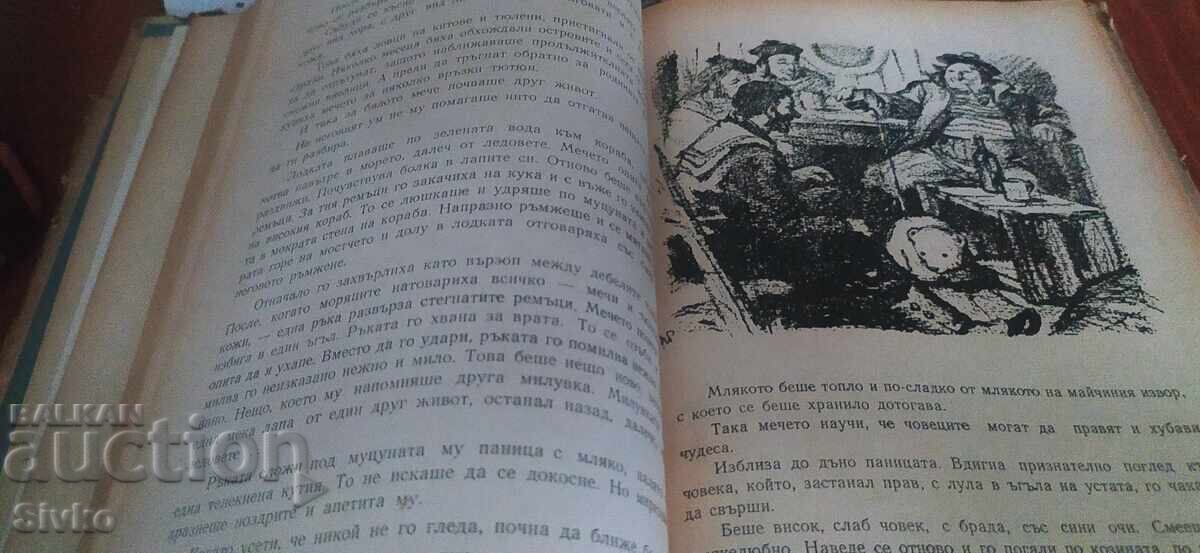 Φραμ, η πολική αρκούδα, πολλές εικονογραφήσεις - 6