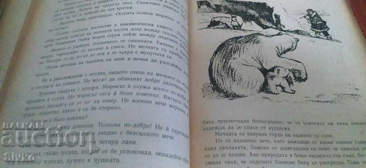 Φραμ, η πολική αρκούδα, πολλές εικονογραφήσεις - 7