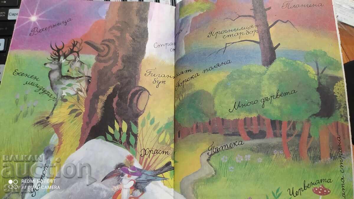 Δημοπρασία Τσιπικέ - το νάνο γίγαντας, Σάντορ Φόντορ, εικονογραφήσεις