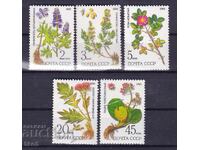 USSR - 1985 - SIBERIAN FLOWERS - **/MNH