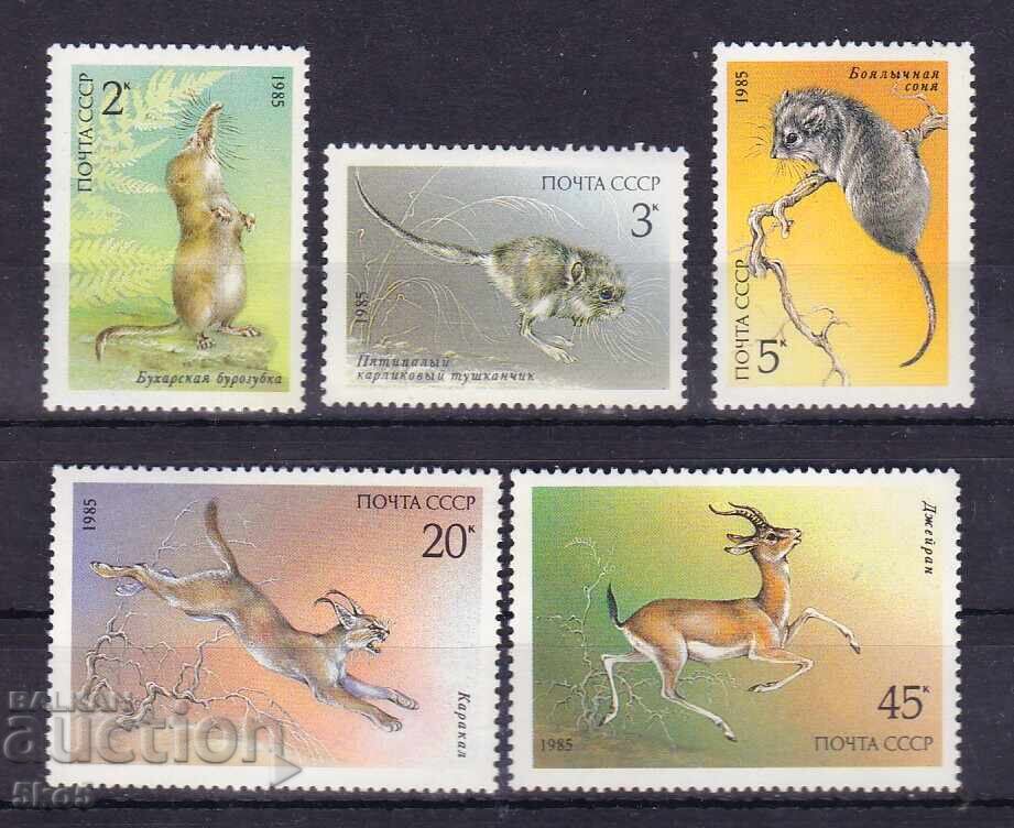 USSR - 1985 - PROTECTED ANIMALS - **/MNH