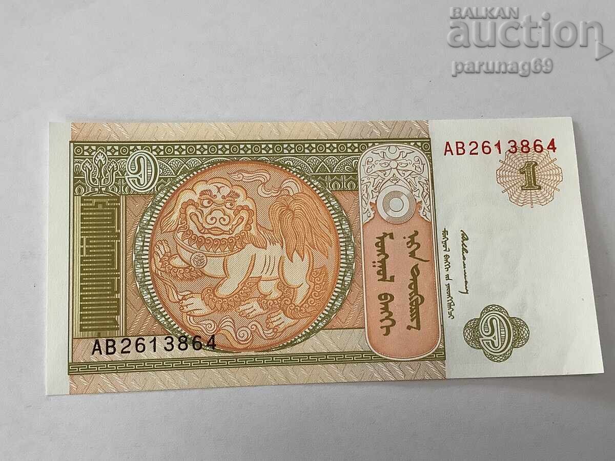 Μογγολία 1 τουγκρίκ 2008 UNC Μογγολία 1 τουγκρίκ 2008 UNC