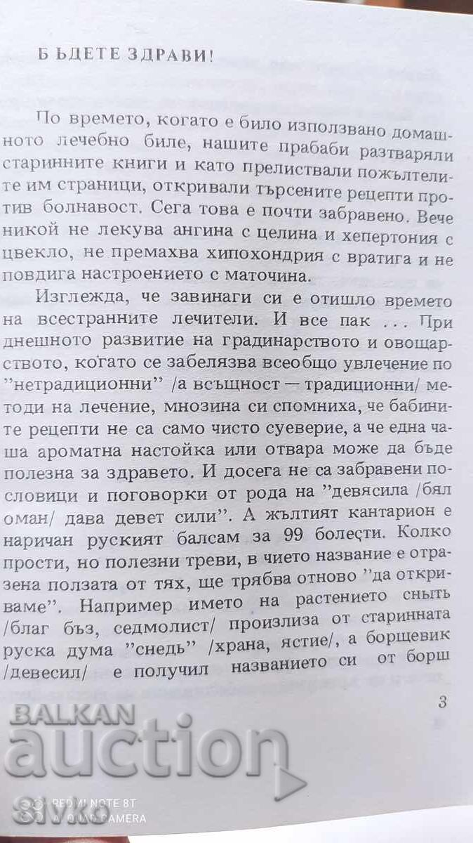 Auction Folk Medicine, Everyday Advice, First Edition Auction Folk Medicine, Everyday Advice, First Edition