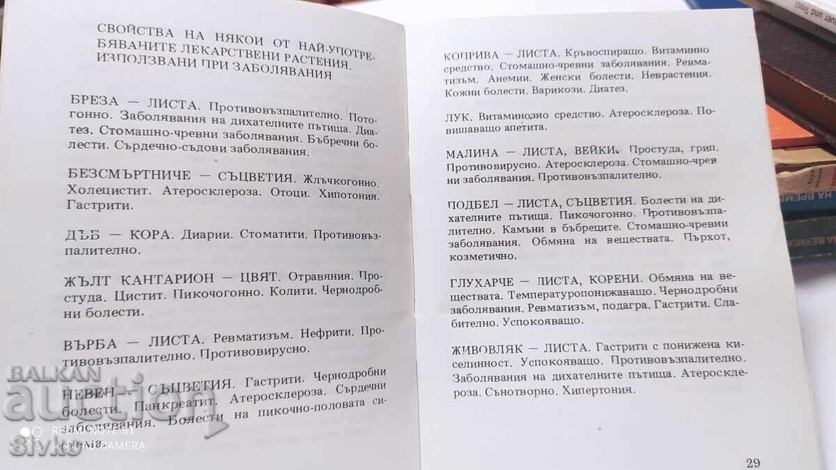 Folk Medicine, Everyday Advice, First Edition - 6 Folk Medicine, Everyday Advice, First Edition - 6