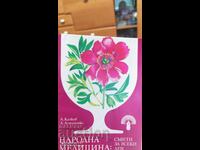 Folk Medicine, Everyday Advice, First Edition