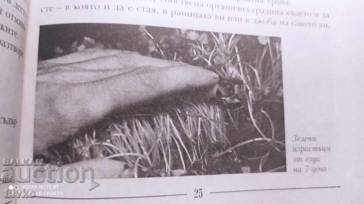 Аукцион Обичай тялото си, Викторас Кулвинскас Аукцион Обичай тялото си, Викторас Кулвинскас