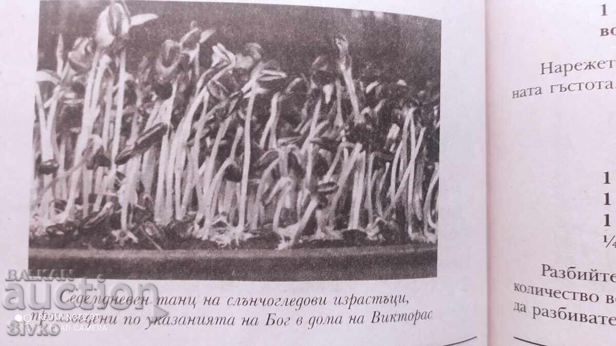 Обичай тялото си, Викторас Кулвинскас - 5 Обичай тялото си, Викторас Кулвинскас - 5