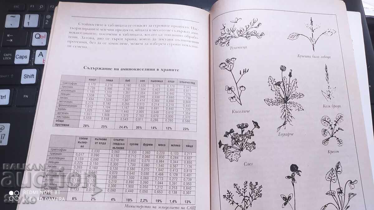 Обичай тялото си, Викторас Кулвинскас - 7 Обичай тялото си, Викторас Кулвинскас - 7