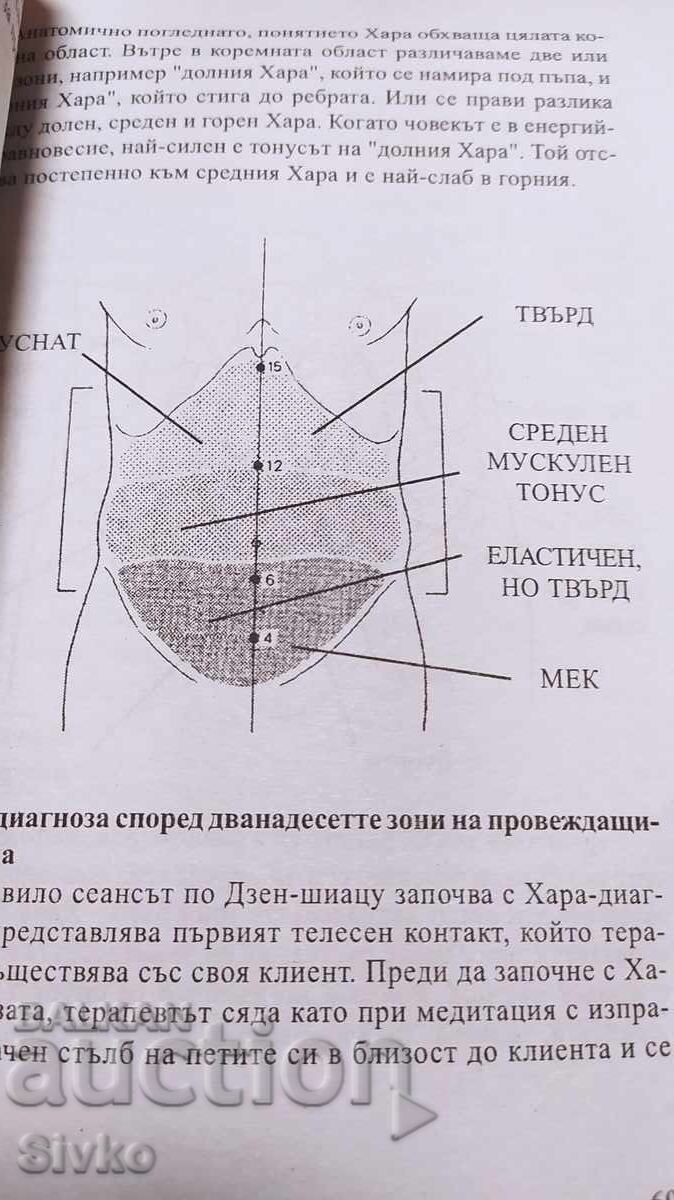 Аукцион Шиацу, Илона Дайкер, много снимки и схеми