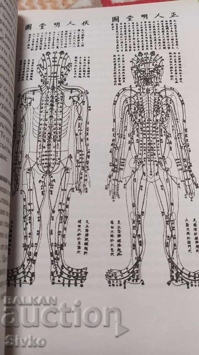 Доставка на Шиацу, Илона Дайкер, много снимки и схеми