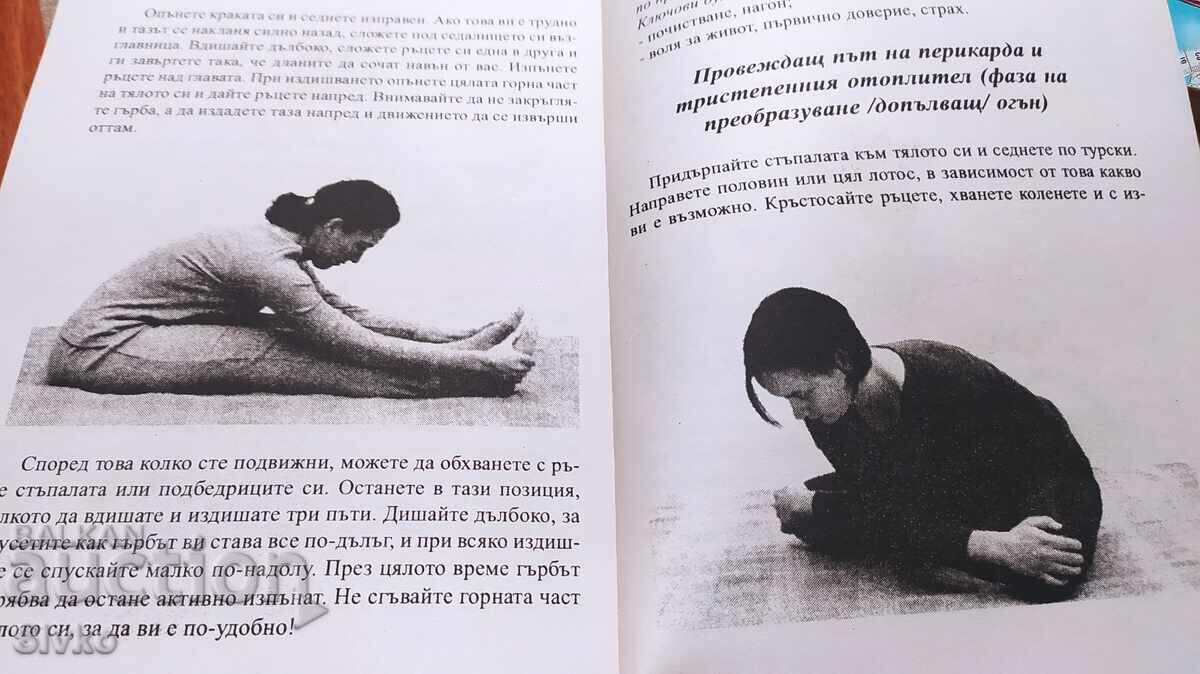 Шиацу, Илона Дайкер, много снимки и схеми - 7