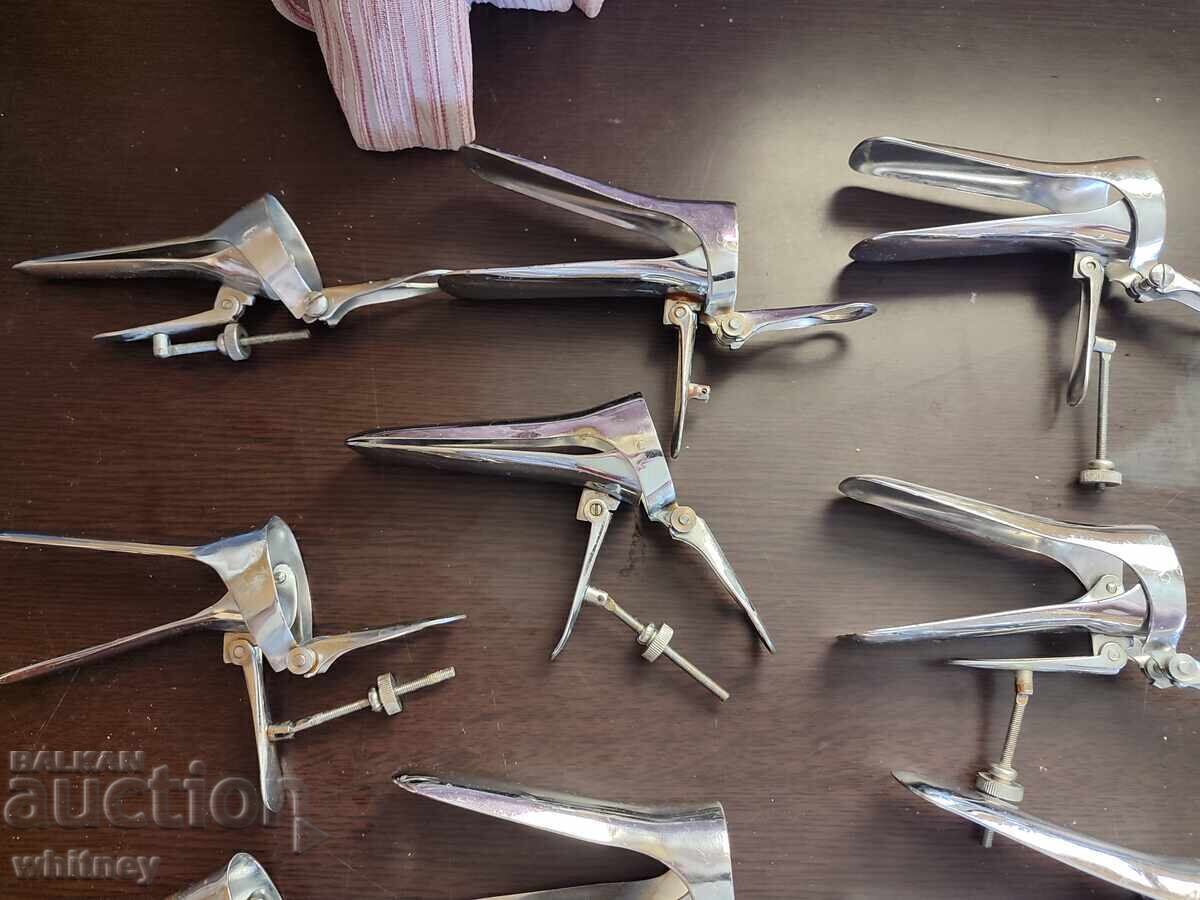 Auction  Lot of Speculoos