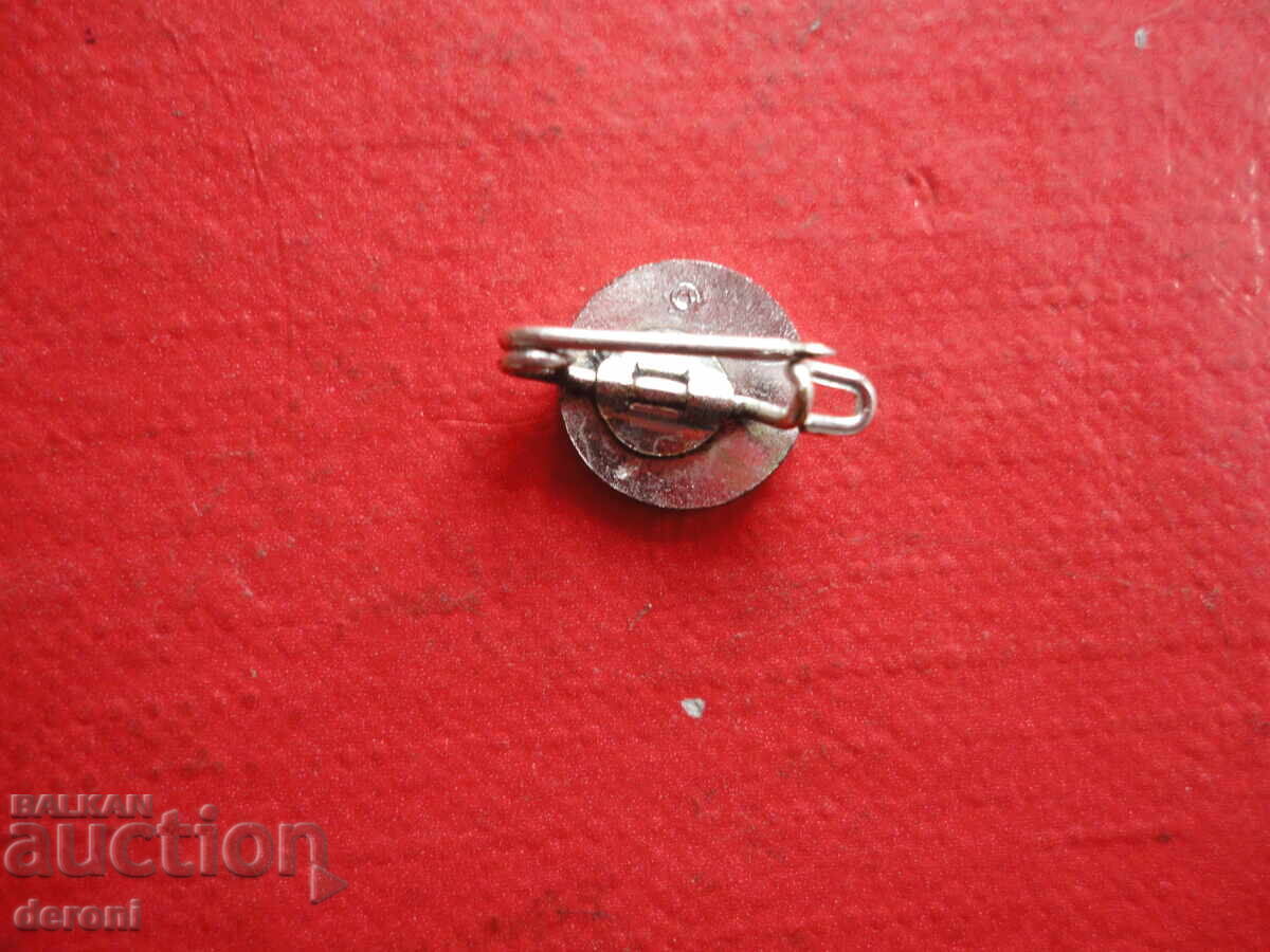 Auction  Volkswagen WV Badge Emblem with Enamel