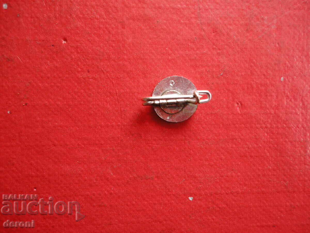 Delivery of Volkswagen WV Badge Emblem with Enamel