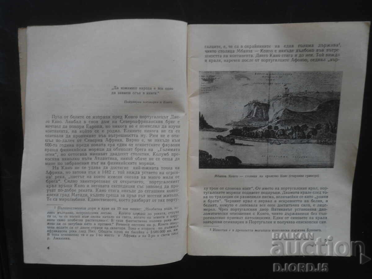 Licitație CONGO, Emil Nikolov Licitație CONGO, Emil Nikolov