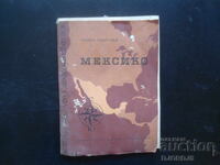 МЕКСИКО, Любен Георгиев