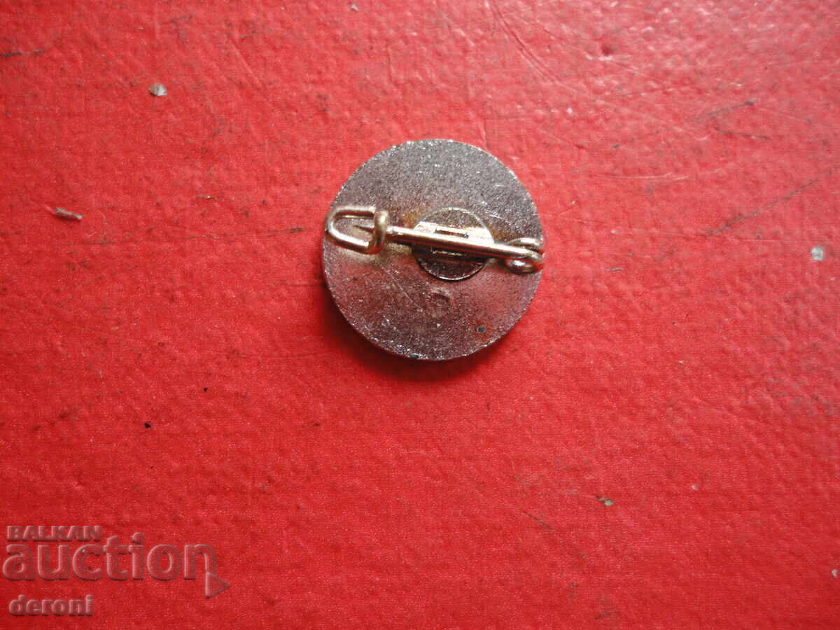 Auction  Large Car Badge Emblem Volkswagen WV with Enamel