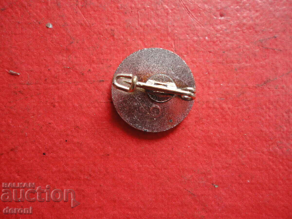 Delivery of Large Car Badge Emblem Volkswagen WV with Enamel