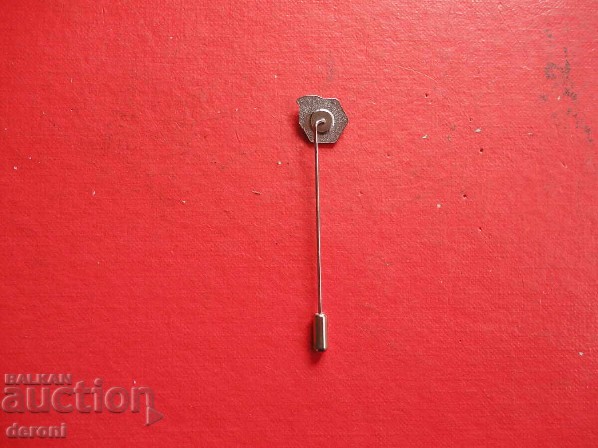 Livrarea Semn insignă 21