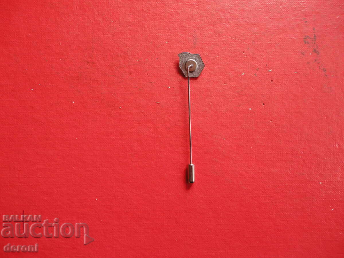 Semn insignă 21 - 5