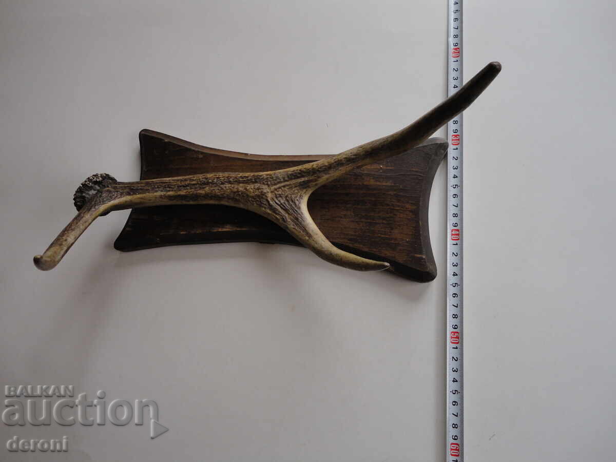 Κρεμάστρα για τρόπαιο κυνηγιού από κέρατο ελαφιού με τιμή 90.00 BGN | € 46.02