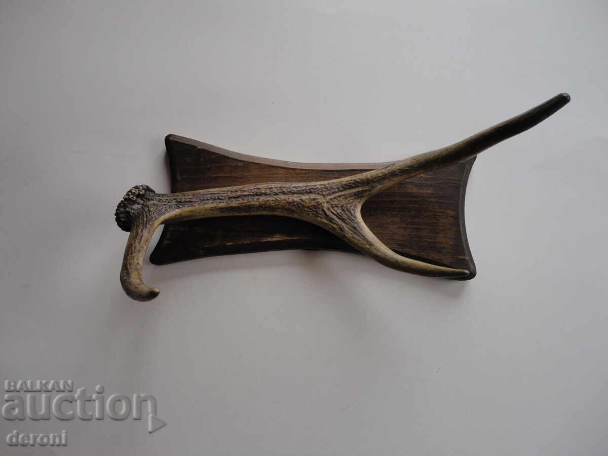 Δημοπρασία Κρεμάστρα για τρόπαιο κυνηγιού από κέρατο ελαφιού