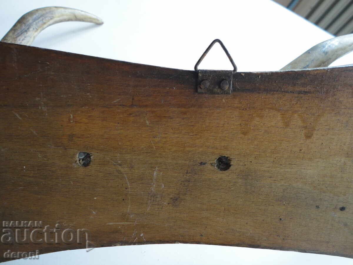 Κρεμάστρα για τρόπαιο κυνηγιού από κέρατο ελαφιού - 5