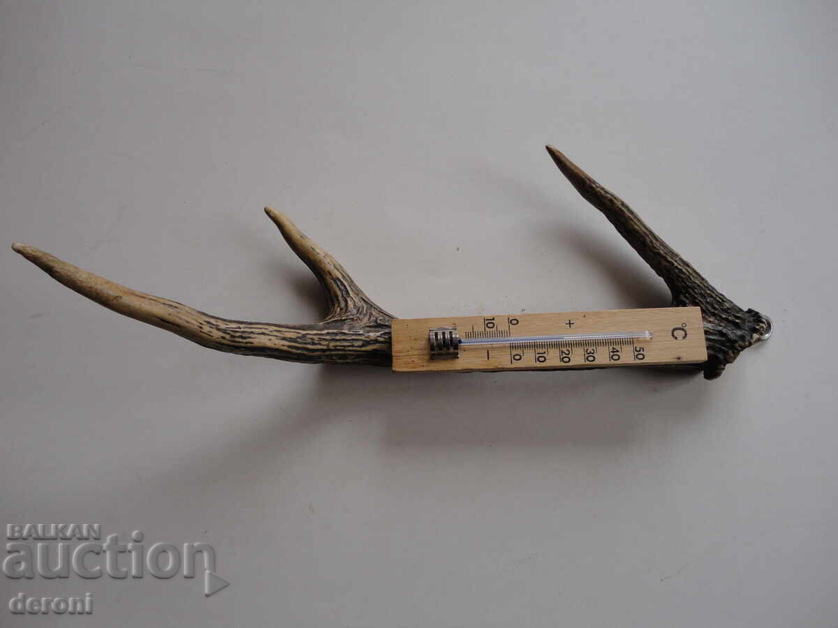 Termometru de vânătoare unic, din corn de cerb - 6 Termometru de vânătoare unic, din corn de cerb - 6