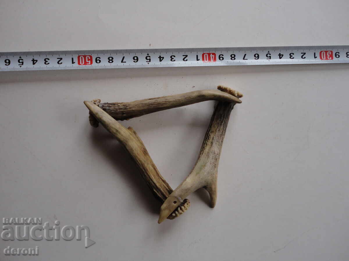 Κέρας κέρατος 3 με τιμή 15.00 BGN | € 7.67