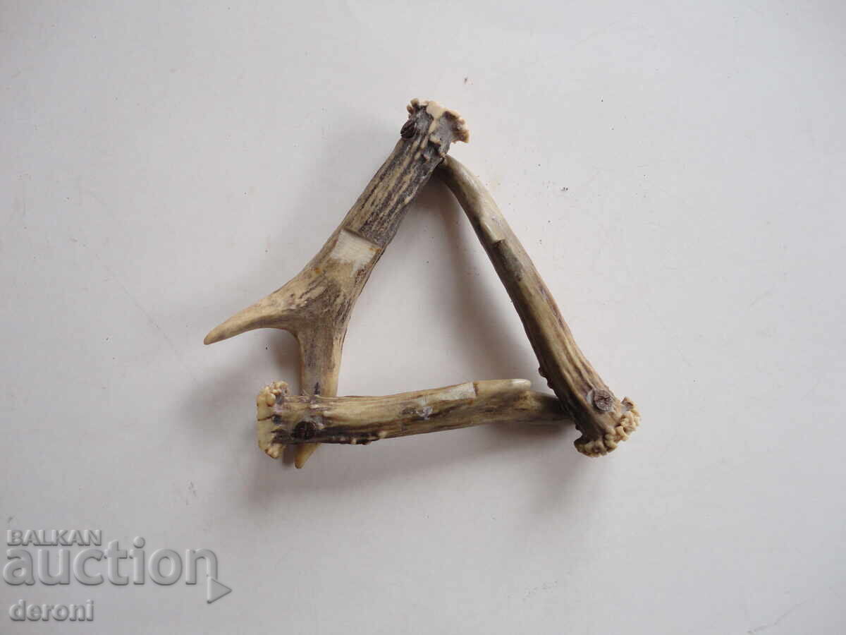 Κέρας κέρατος 3 - 5