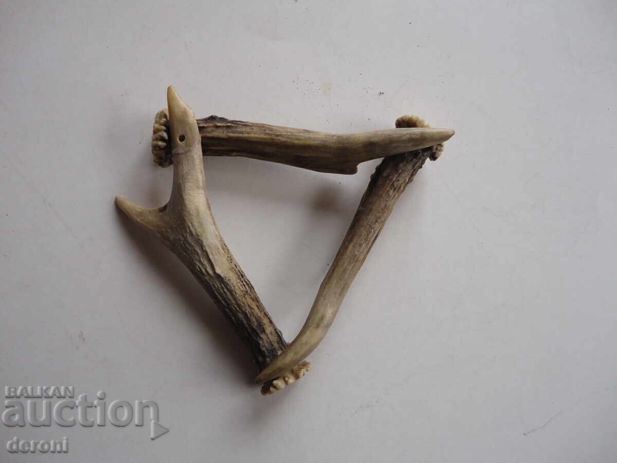 Κέρας κέρατος 3 - 6