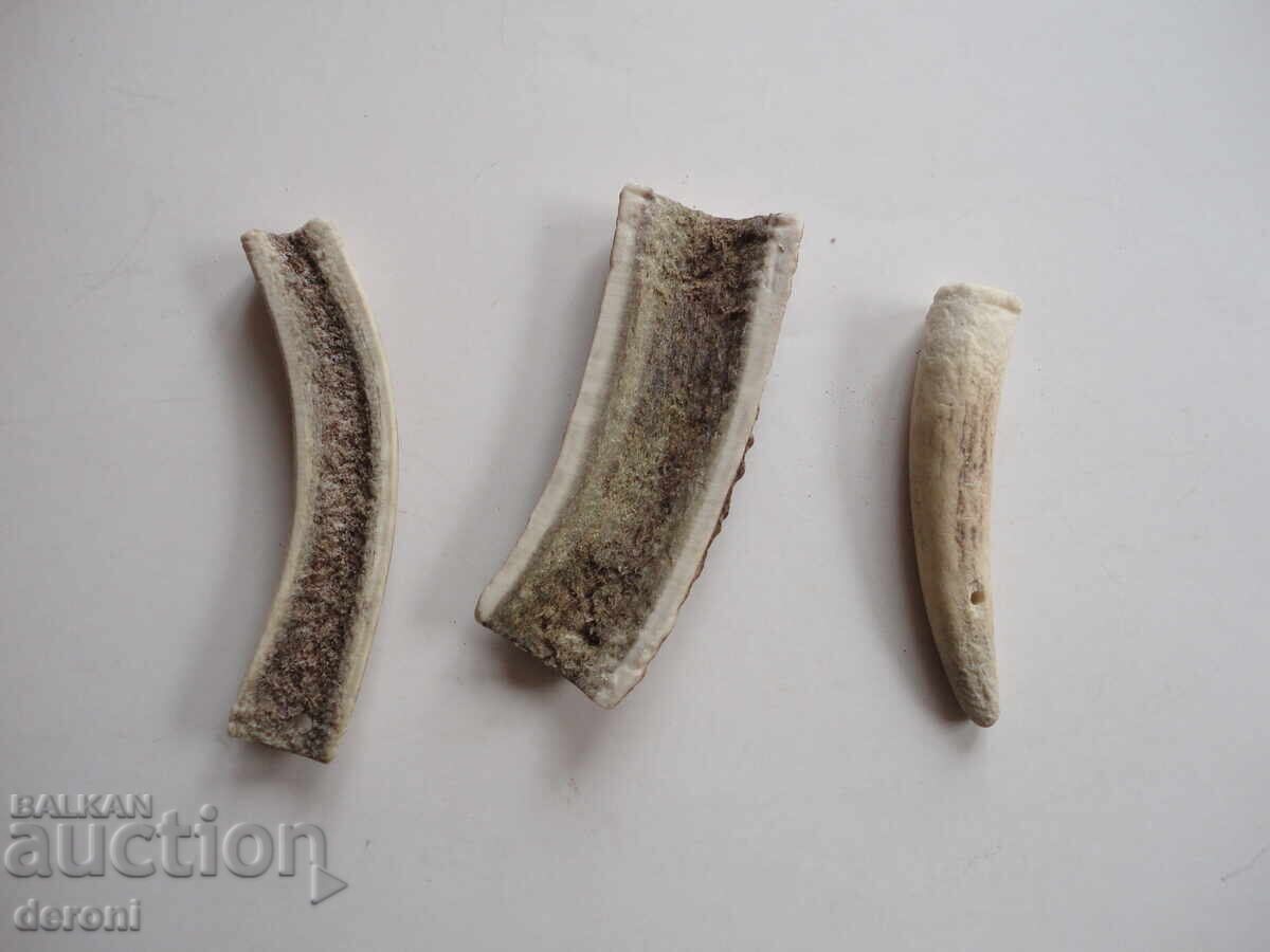 Παράδοση Κέρας κέρατος 2 Παράδοση Κέρας κέρατος 2