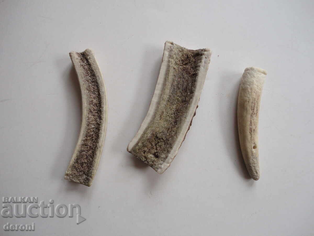 Κέρας κέρατος 2 - 5 Κέρας κέρατος 2 - 5