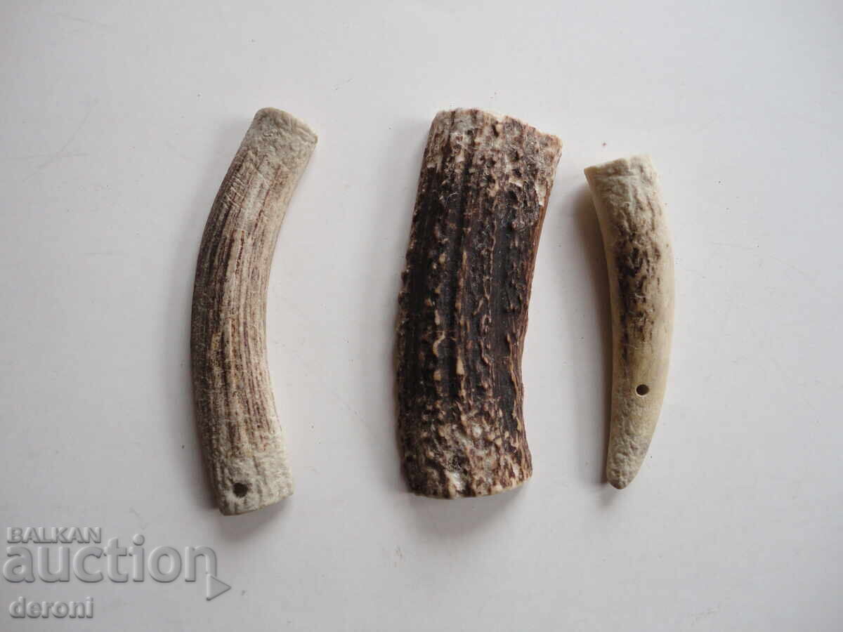 Κέρας κέρατος 2 - 6 Κέρας κέρατος 2 - 6