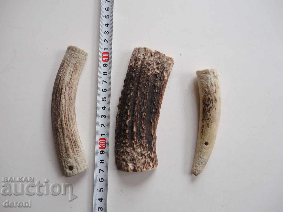 Κέρας κέρατος 2 Κέρας κέρατος 2