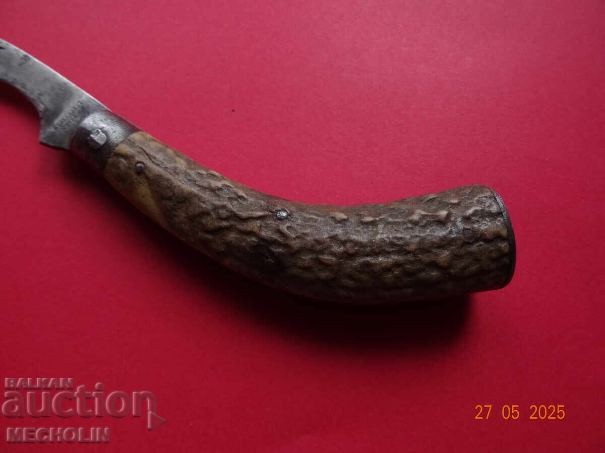 Livrarea Cuțit de colecție pentru ciuperci g eberhardt wiesbaden N4