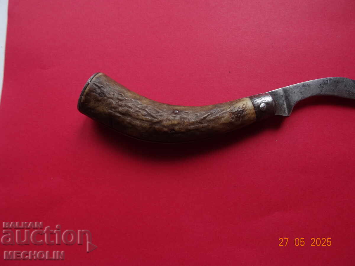 Cuțit de colecție pentru ciuperci g eberhardt wiesbaden N4 - 7