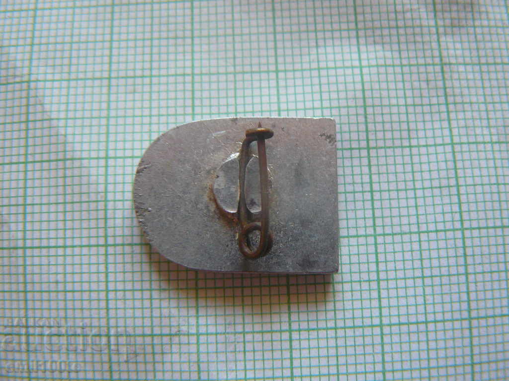 Delivery of Badge - Tourist and Sports Society Vihren Sandanski