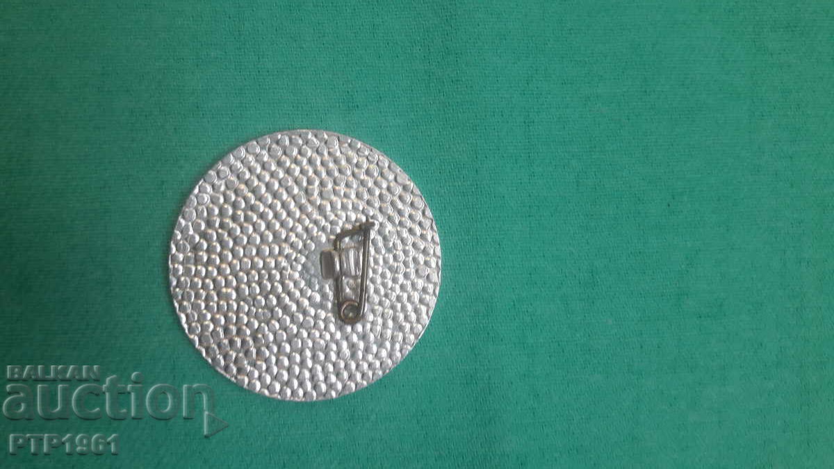 Insigă-muzică cu preț 2.00 BGN | € 1.02