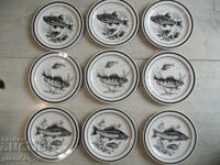 №*8071 set 9 farfurii vechi de porțelan - COLDITZ