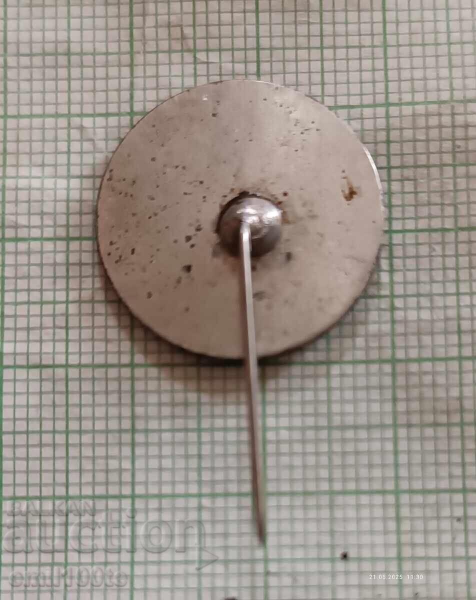 Σήμα - 25 χρόνια πόλη Μάδαν - 5