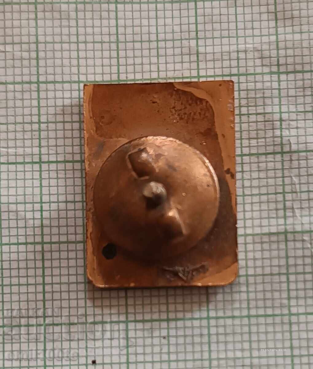 Ecuson - Alpinism clasa I pe șurub bronz email - 6 Ecuson - Alpinism clasa I pe șurub bronz email - 6