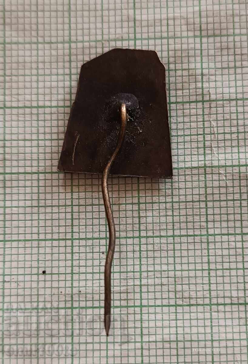 Delivery of Badge - Musala Peak BTS