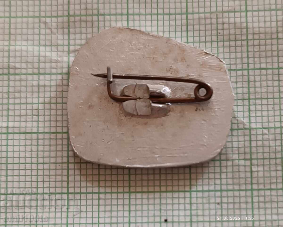 Delivery of Badge - Berkovitsa