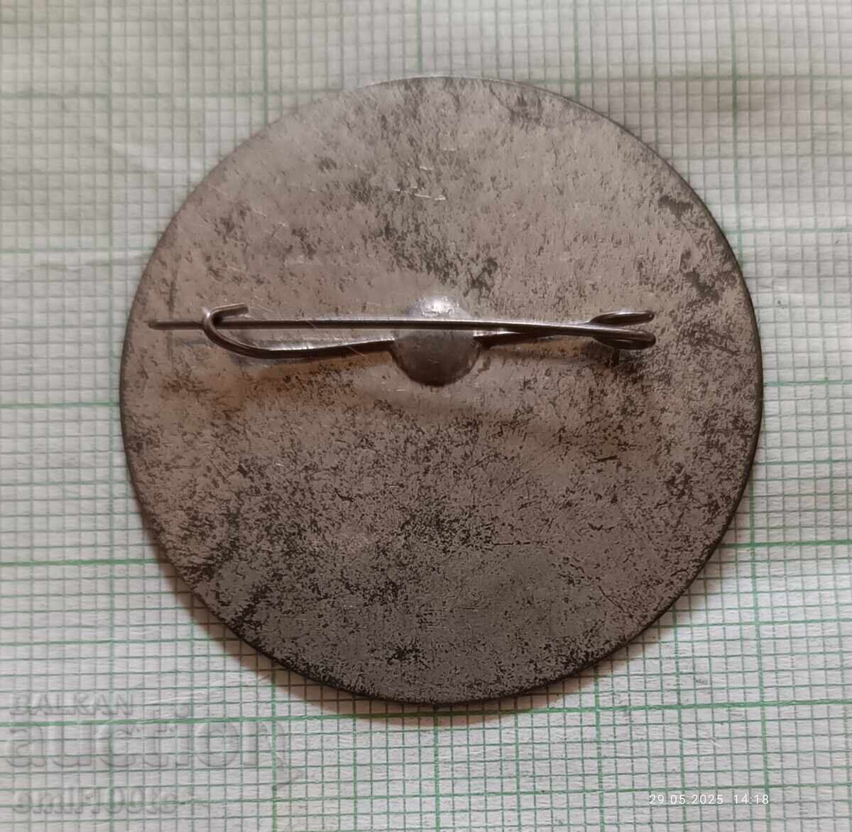 Delivery of Badge - Haskovo Festival 78 Delivery of Badge - Haskovo Festival 78