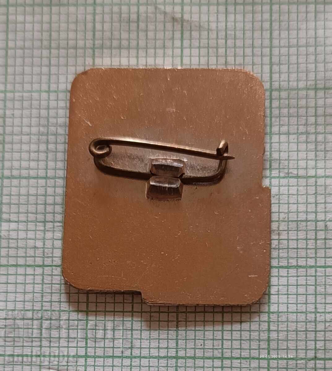 Delivery of Badge - AEA Army Estrada Ensemble Silver Stars Delivery of Badge - AEA Army Estrada Ensemble Silver Stars