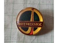 Insigna - Intercosmos