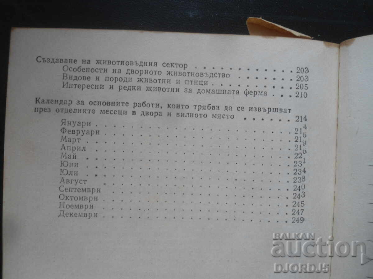 Curtea și vila, Boris Litov - 5 Curtea și vila, Boris Litov - 5